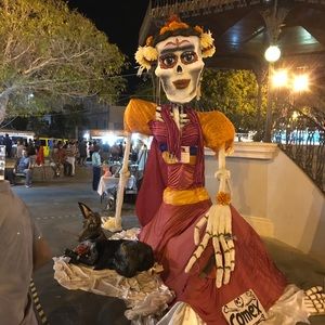 Meet your Posher, William